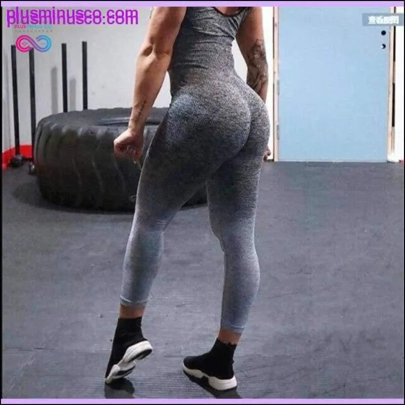 2PCS Gradient Ombre Seamless Yoga set Workout gym Tracksuit